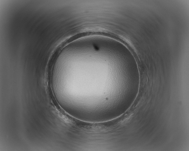 X0000070230979200606021343