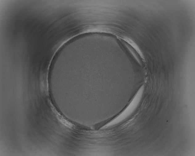 X0000070230980200606021343