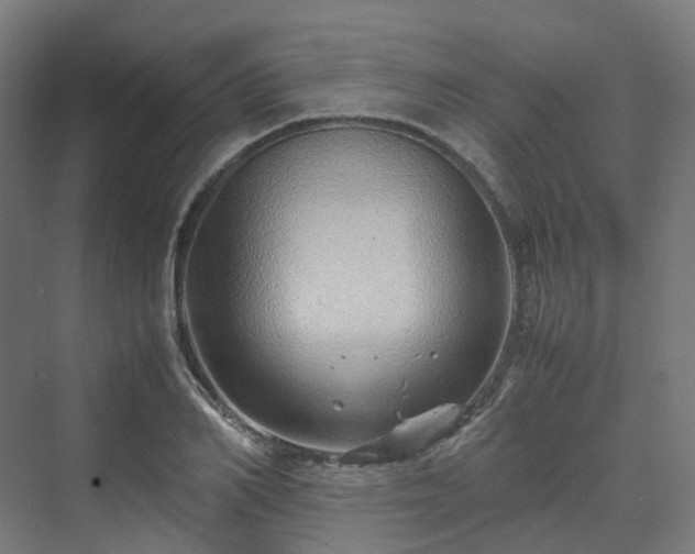 X0000070230982200606021343