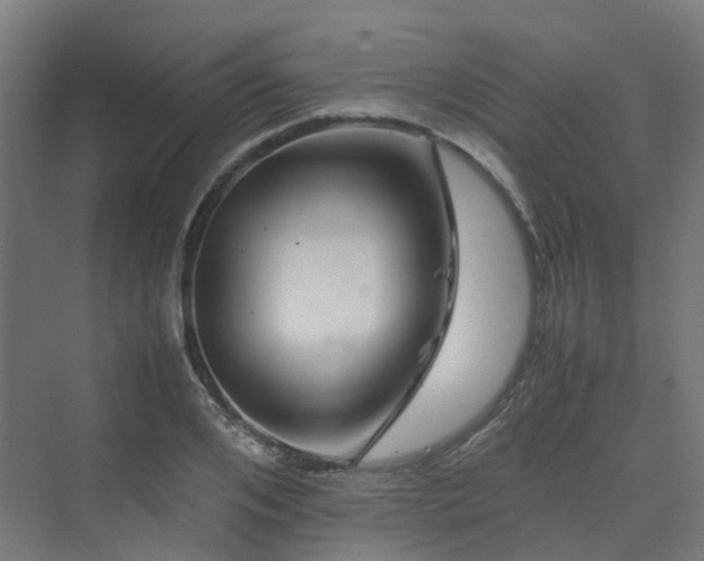 X0000070230984200606021343