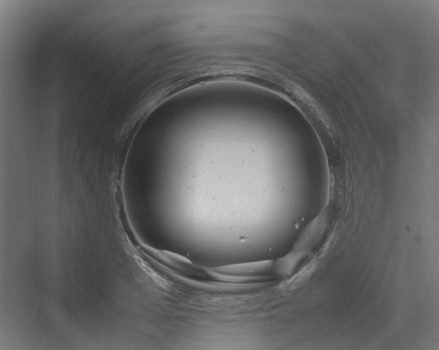 X0000070230985200606021343