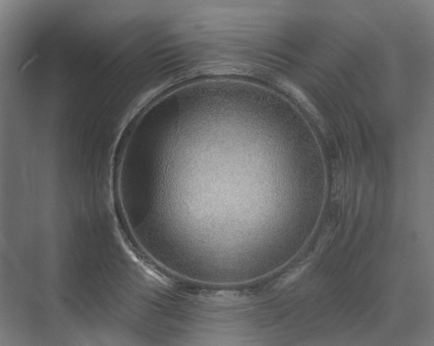 X0000070230986200606021343