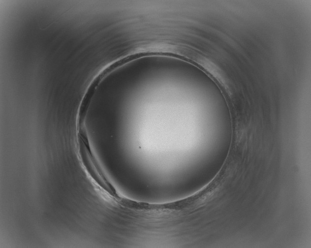 X0000070230988200606021343