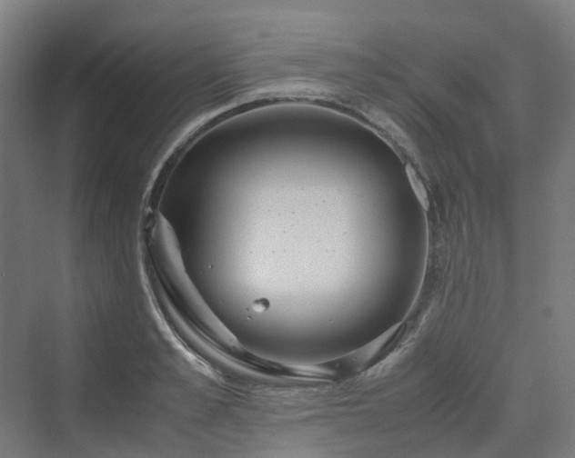 X0000070230989200606021342