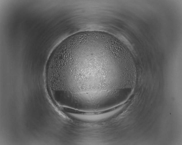 X0000070230990200606021342