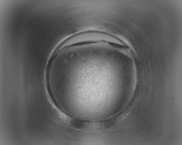 X0000070230991200606021342