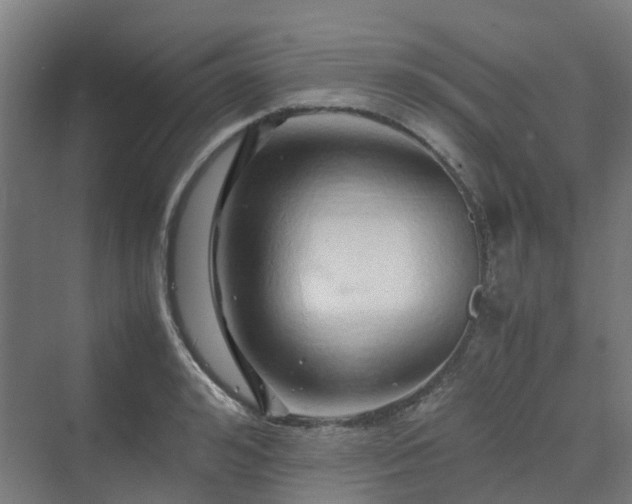 X0000070230992200606021342