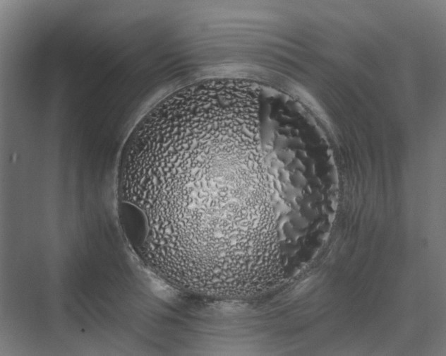 X0000070230994200606021342