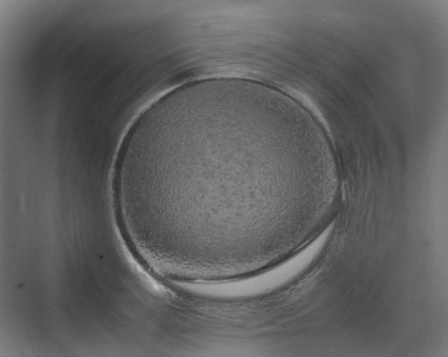 X0000070230995200606021342