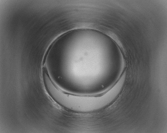 X0000070230996200606021342