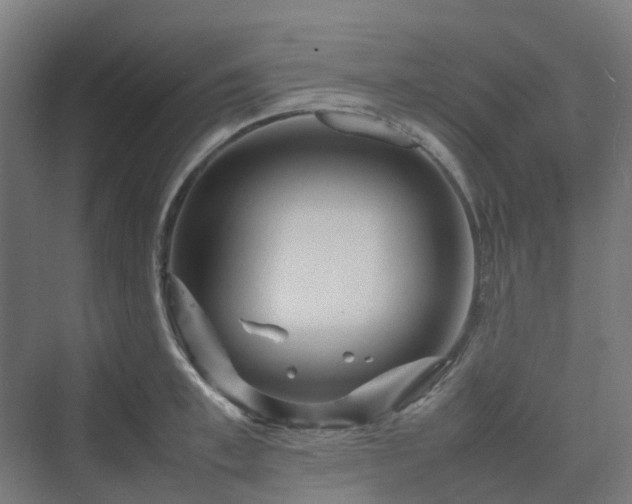 X0000070230997200606021342