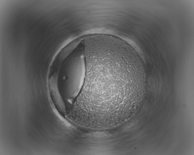 X0000070230998200606021342