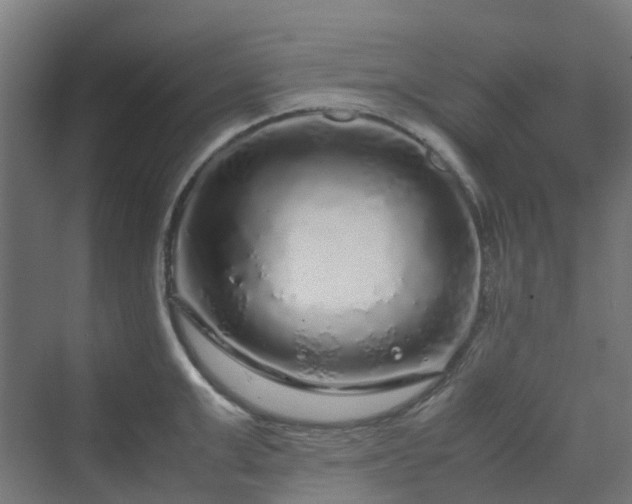 X0000070230999200606021342