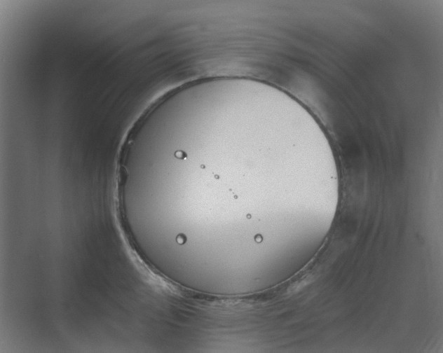 X0000070231000200606021342