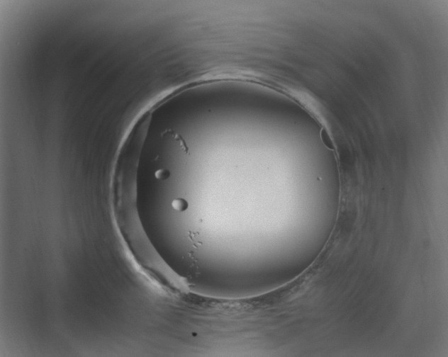 X0000070231003200606021342