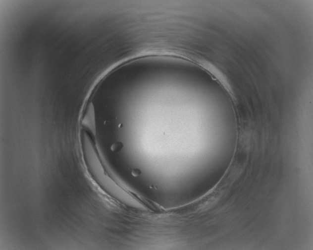 X0000070231004200606021342