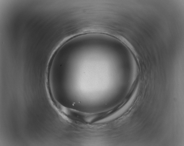 X0000070231005200606021342