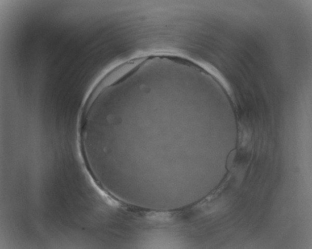 X0000070231006200606021342