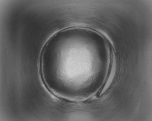 X0000070231007200606021342