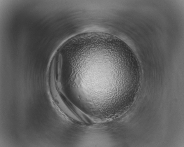 X0000070231008200606021342