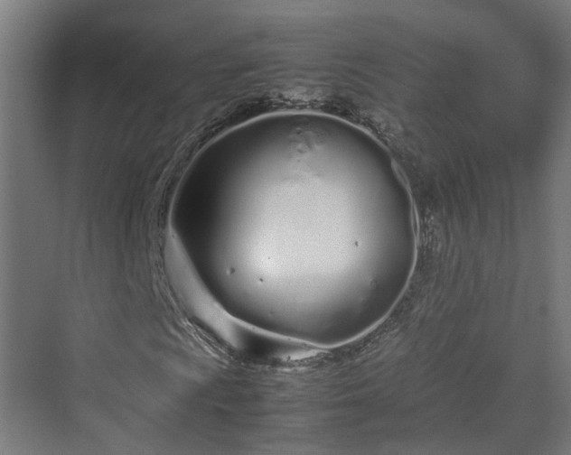 X0000070231009200606021341