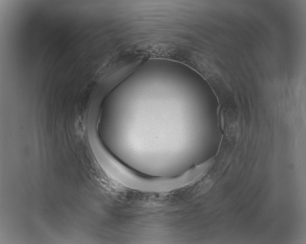 X0000070231010200606021341