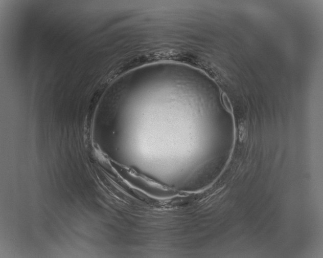 X0000070231011200606021341