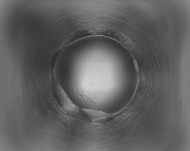 X0000070231012200606021341