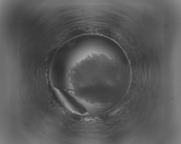 X0000070231013200606021341