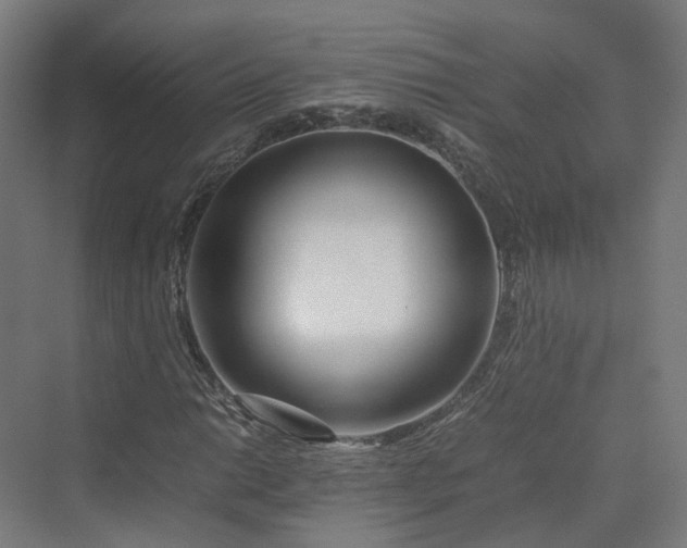 X0000070231014200606021341