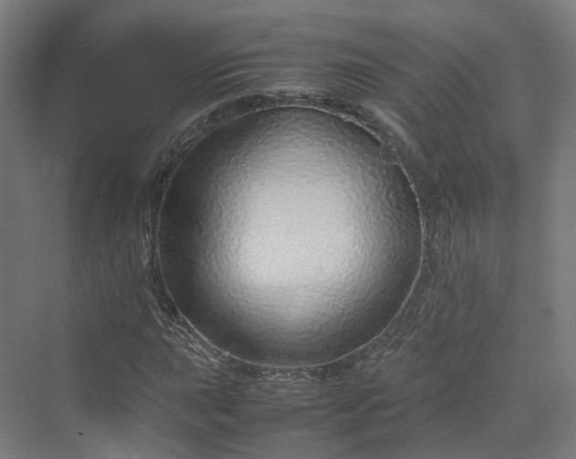 X0000070231015200606021341