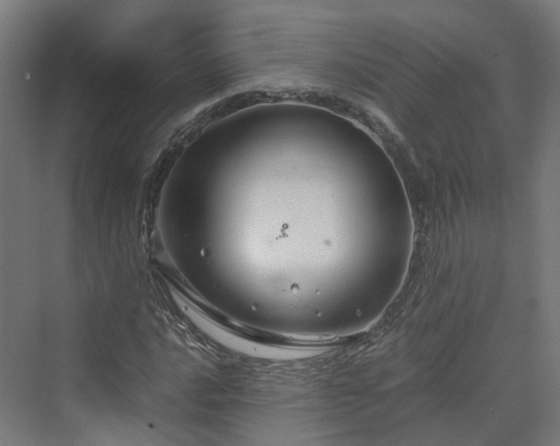 X0000070231016200606021341