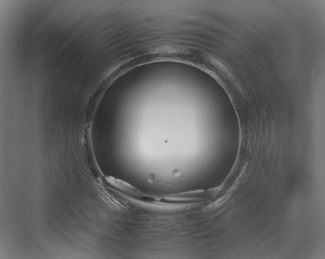 X0000070231017200606021342