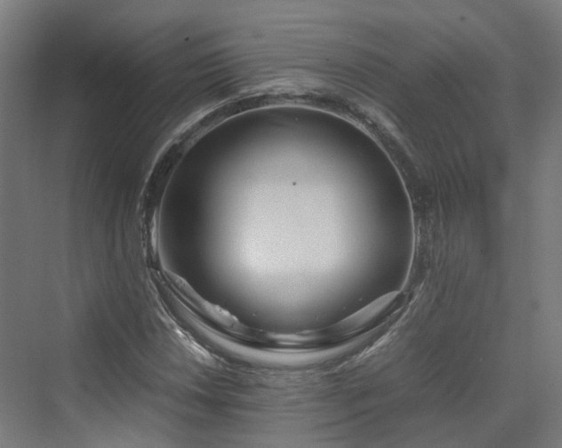 X0000070231018200606021342