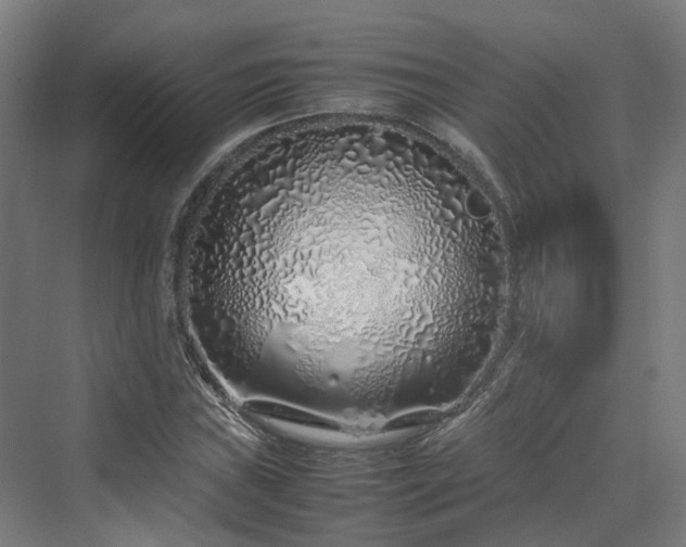 X0000070231019200606021342