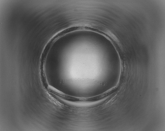 X0000070231020200606021342