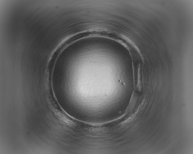 X0000070231021200606021342