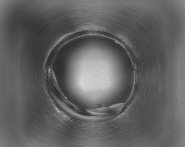 X0000070231022200606021342