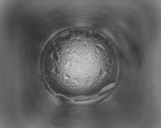 X0000070231023200606021342