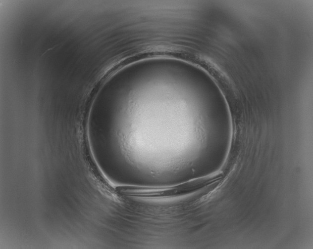 X0000070231025200606021342