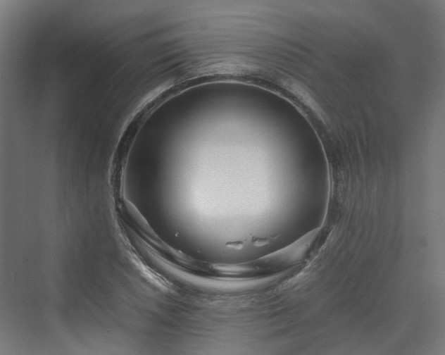 X0000070231026200606021342