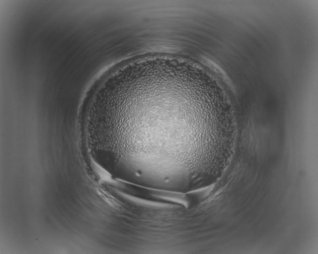 X0000070231027200606021342