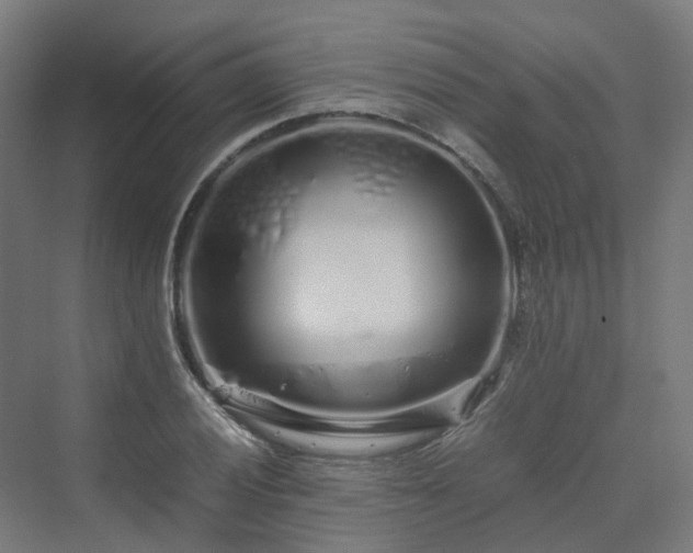 X0000070231028200606021342