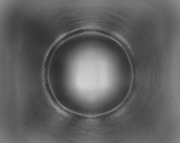 X0000070231029200606021342