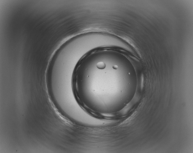 X0000070231030200606021342