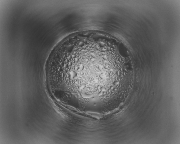 X0000070231031200606021342