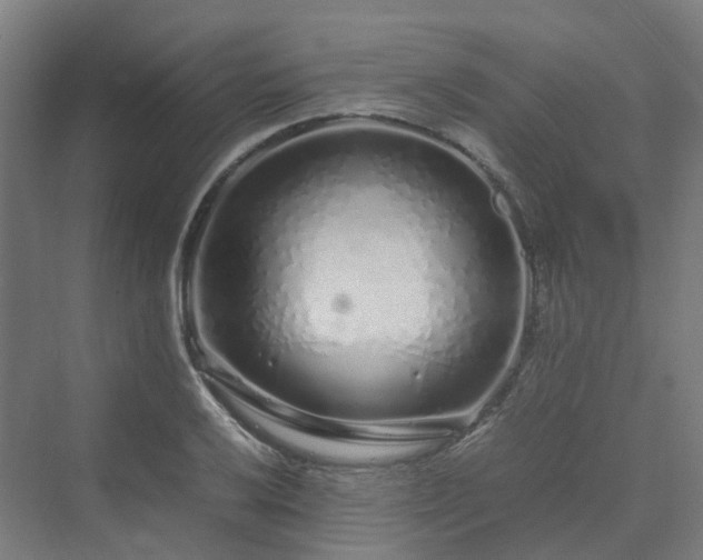 X0000070231032200606021342