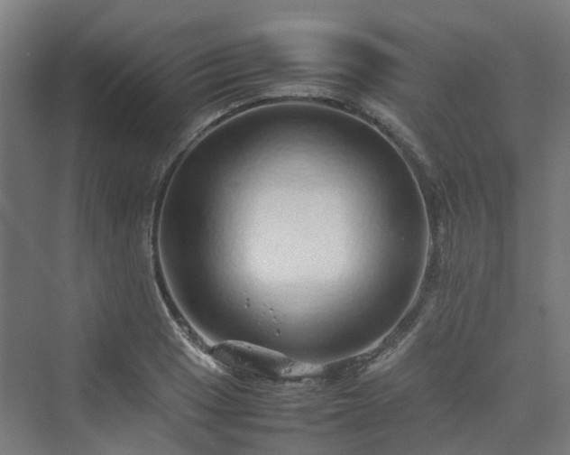 X0000070231033200606021342