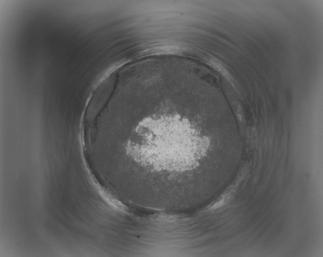 X0000070231034200606021342