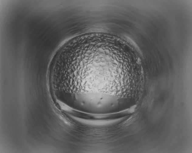 X0000070231035200606021342